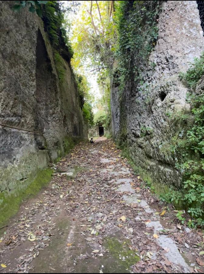 Affittacamere Licenza N.1 Presso La Magica Torre Pitigliano Exterior foto